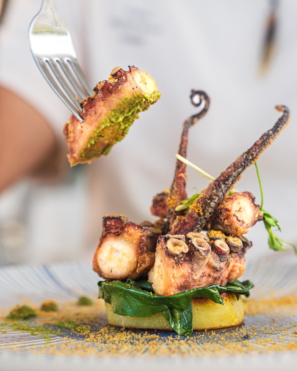 Grilled octopus